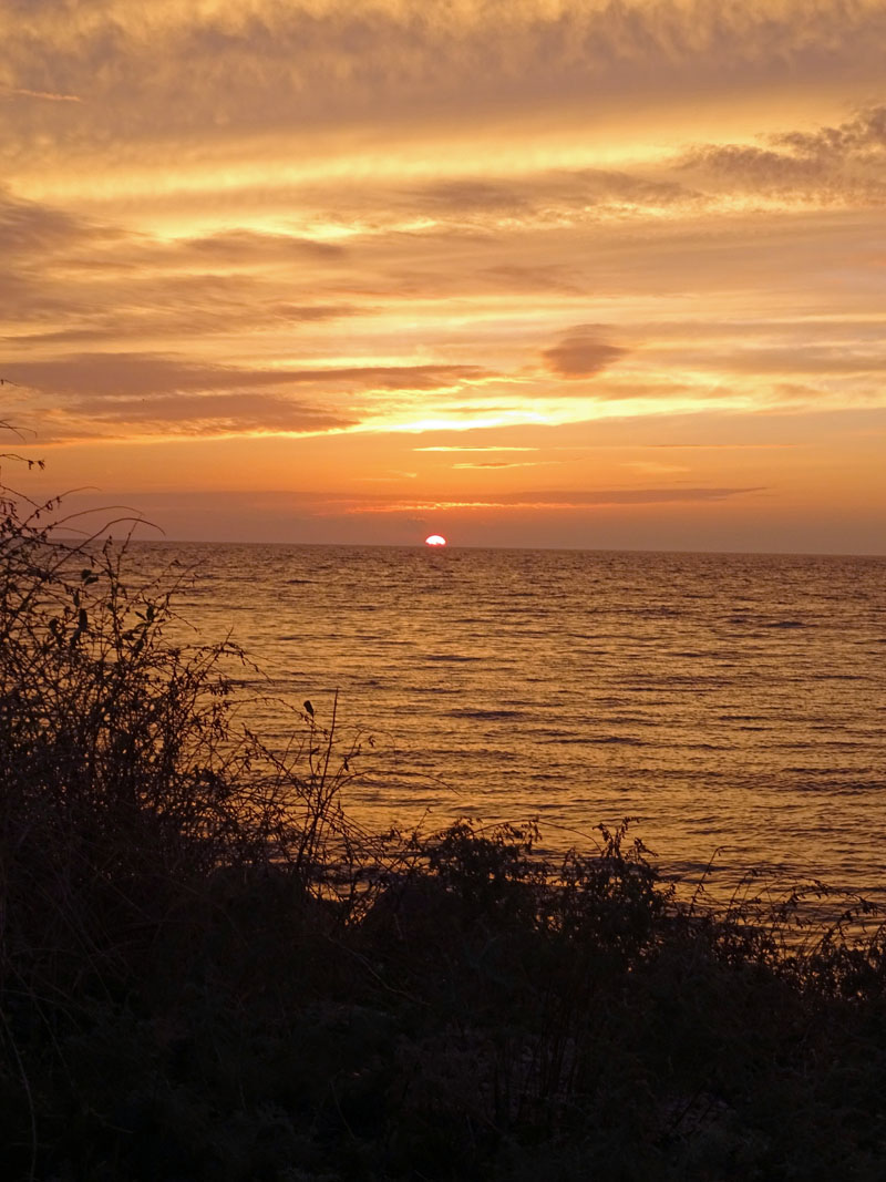 DSC00132